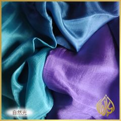 Item thumbnail for item 3caabb54-4420-41fc-8971-c8492f43df17