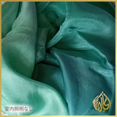 Item thumbnail for item 792c9743-bd3b-47d0-a31b-08ab5f86e92b