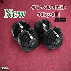 2596 ダンベル 可変式 レッド 40kg 1個 単品 多機能 5~40kg 17段階調節