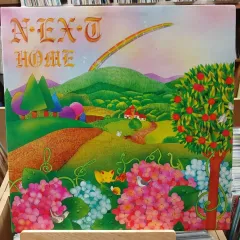 シンヘチョル N EX T ー HOME アルバム LP