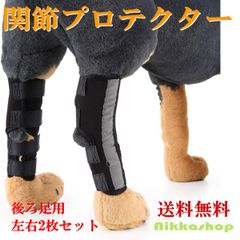 Item thumbnail for item fb110bcf-938b-47b6-ba10-b216dc85764d