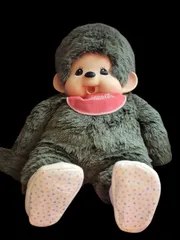 2025年最新】モンチッチ 2Lの人気アイテム - メルカリ