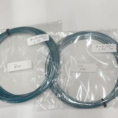 Item thumbnail for item e5919aeb-6d4f-4b2c-93a4-94c913e99142