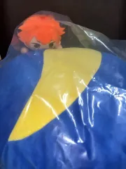 ハイキュー 一番くじ C賞 日向 バレーボール クッション