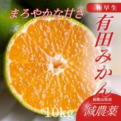 価格高騰！農家直送！紀州南高梅 樽 10000g 無添加 和歌山 紀州 白梅