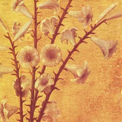 2025年最新】迷える百合達〜romance of scarlet〜 中古品の人気