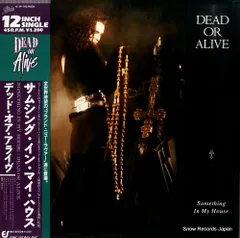 【レコード】デッド・オア・アライヴ サムシング・イン・マイ・ハウス 12.3P-792