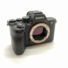 2025年最新】SONYα7IVの人気アイテム - メルカリ