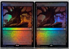 MTG 焦熱島嶼域 / Fiery Islet MH1 日本語 2枚セット - メルカリ