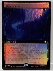 MTG 焦熱島嶼域 / Fiery Islet MH1 日本語 2枚セット - メルカリ