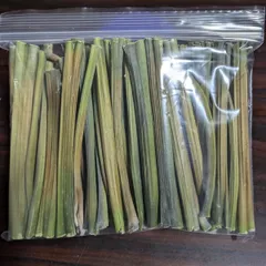 2026年最新】乾燥パパイヤの葉の人気アイテム - メルカリ