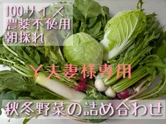 【Ｙ夫妻様専用】秋冬野菜の詰め合わせ(栽培期間中農薬不使用)