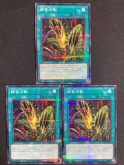 儚無みずき はなみずき 25th クオシク 絵違い - メルカリ