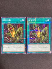 YCSJ TOKYO 2025 上位賞 五芒星スリーブ 70枚 - メルカリ