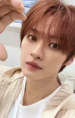 【中古】コレクションカード(男性) Stray Kids/Lee Know(リノ)/「Stray Kids 2024 Season’s Greetings Perfect Day with SKZ」セルフィーフォトカード