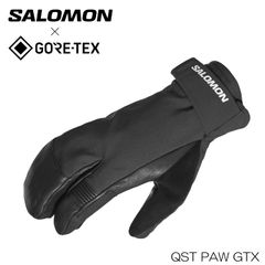 SALOMON サロモン スキー グローブ メンズ レディース QST PAW GTX U LC1900800 23-24 2024 日本正規品