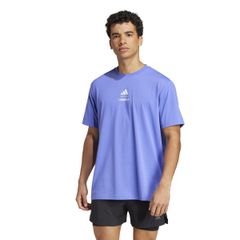 Item thumbnail for item 727b5099-9b76-4350-81df-42f2f25af270