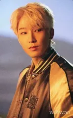 【中古】コレクションカード(男性) SEVENTEEN/WONWOO(ウォヌ)/CD「Face the Sun」(正規盤)Loppi・HMV限定特典スペシャルフォトカード