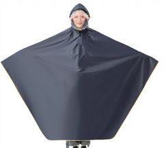 Item thumbnail for item e6f14eb6-883b-4987-8782-27e3b22836b6