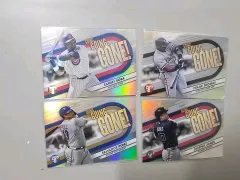 2026年最新】チッパージョーンズの人気アイテム - メルカリ