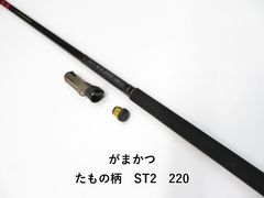 B228 DAIWA ダイワ キングバイパー 泳がせ 200S スタンディング