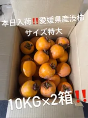またまた良いの仕入れました✌️【超お得‼️愛媛県産 渋柿20kg】 サイズ大