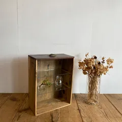 アンティーク 古道具 木製 ガラス棚 小型 収納ケース ショーケース レトロ y399