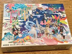 AKB48/ミリオンがいっぱい～AKB48ミュージックビデオ集～ スペシャル