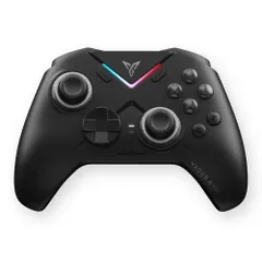 FLYDIGI フライディジ ハイエンドゲームコントローラー ブラック VADER4PRO