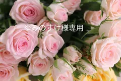 【ゆみのすけ様専用ページ】リカちゃん服