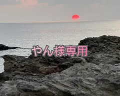 専用です。やん様