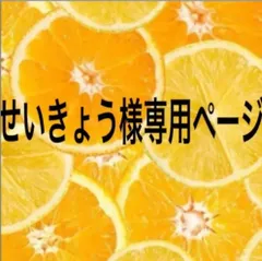 せいきょう様専用　ニンフィアV