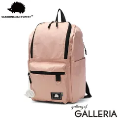 スカンジナビアンフォレスト リュック レディース 通学 SCANDINAVIAN FOREST 通勤 軽量 軽い 小さめ 小さい おしゃれ ナイロン PC パソコン 撥水 きれいめ シンプル 13inch 多収納リュック 251-KESF331