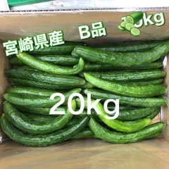 キュウリ　スマイル品　20kg 朝取れ　サラダ　宮崎県産