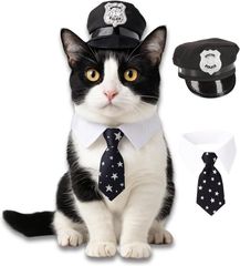 Item thumbnail for item 24537b15-838f-46db-80e9-6403a7f13e55