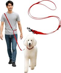 Item thumbnail for item c5704c51-2327-476f-91ad-5f59e386094e