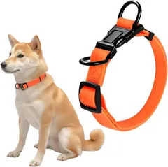 Fun Time For Dogs 犬 首輪 ダブルリング 首周り42～63cm 幅2.5cm 中型犬 大型犬 PVC 犬用 防水 防汚 アウトドア (オレンジ,  M (首周り34～48cm/幅2.0cm))