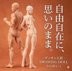 デッサンドール 男女セット 台座付き 人形人体 模型 フィギュア スケッチ デッサン ドール 素体 女性 男性 ポージング マネキン モデル