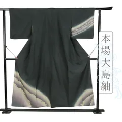 本場 大島紬 訪問着 正絹 黒 雲 朝焼け 着物 新古品 身丈158cm 裄64cm Mサイズ 仕立て上がり 友禅染 お洒落 カジュアル No.i3-0972 