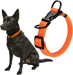 Fun Time For Dogs 犬 首輪 ダブルリング 首周り42～63cm 幅2.5cm 中型犬 大型犬 PVC 犬用 防水 防汚 アウトドア (オレンジ,  ML（首周り42～63cm 幅2.0cm))