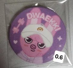 Stray Kids(ストレイキッズ・スキズ・SKZ) SKZOO DWAEKKI(トゥエッキ) チャンビン(CHANGBIN) バッジ 「ズートピア 2」 ポップアップ