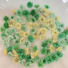グリーン系 かすみ草ドライフラワー100粒