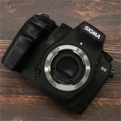 2026年最新】SIGMA SD1 merrillの人気アイテム - メルカリ