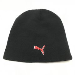 Item thumbnail for item b6eefa69-ab3b-446b-99e2-0069cf25c066