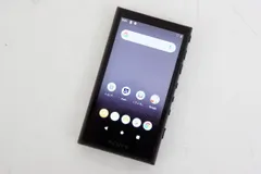 2026年最新】nw-a105の人気アイテム - メルカリ