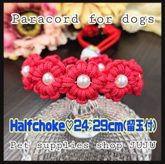 Item thumbnail for item 20a074f7-d224-4463-bce7-51daa70f2367