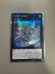 遊☆戯☆王 リーバーチュ Dragon ディフュージョン 쿼シック