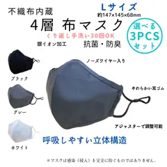 不織布内蔵 4層布マスク　洗える　抗菌　防臭　布マスク　銀イオン　大人用　Lサイズ　経済的　エコ