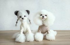 Item thumbnail for item e0c32838-69bc-400a-a86d-02844b123622