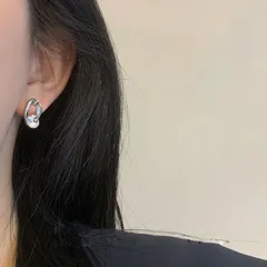 種類2：写真色/1点 レディース金属風ピアス (T)